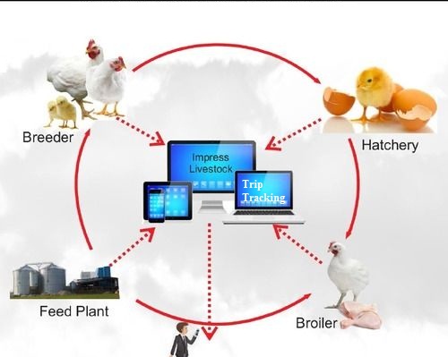 Poultry Farm Software