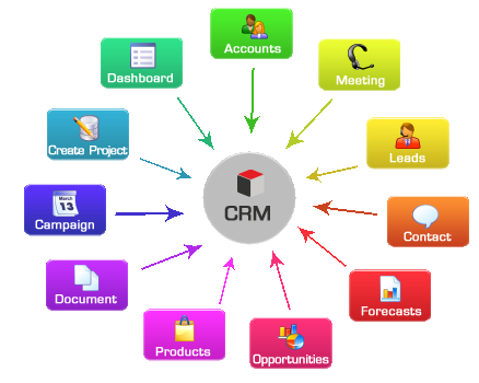 Best crm software development company in lucknow